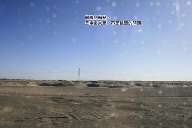 _MG_8775.JPG