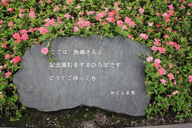 _MG_0304.jpg