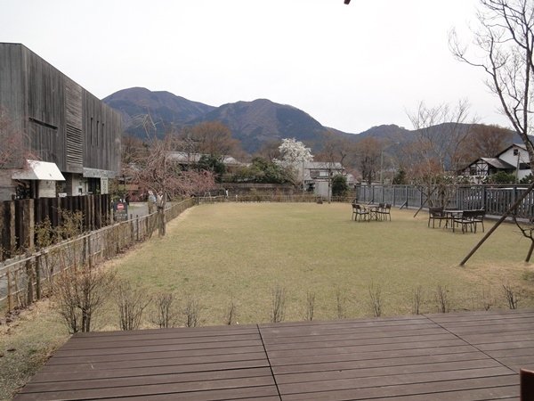 DSC04487