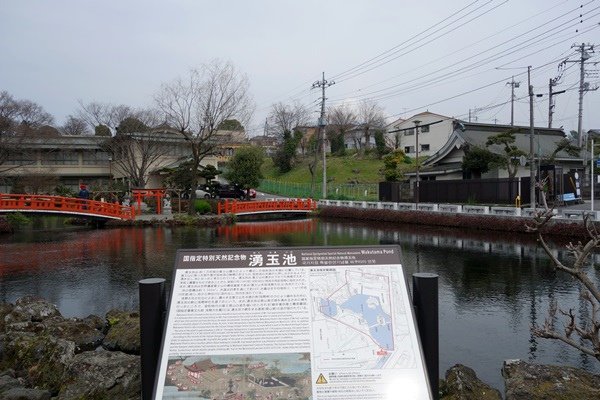 DSC07868.JPG