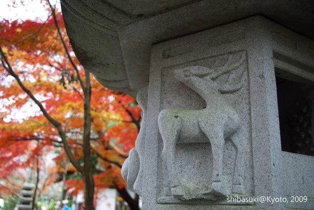 20091128_Kyoto-167_光明寺.JPG