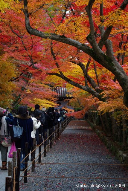 20091128_Kyoto-302_光明寺.JPG