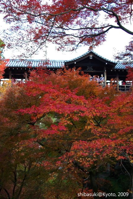20091127_Kyoto-219_東福寺p.JPG