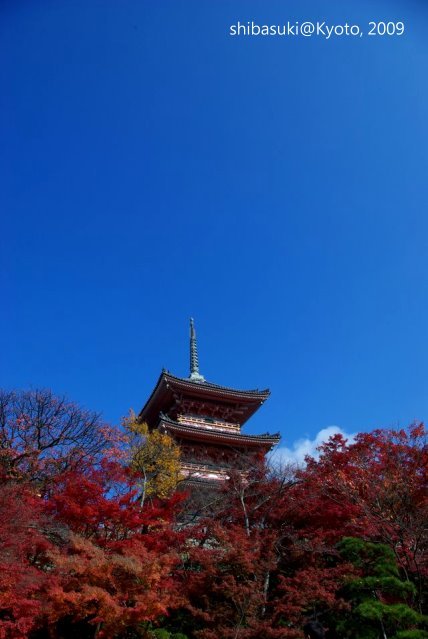 20091126_Kyoto-68_清水寺_1.JPG