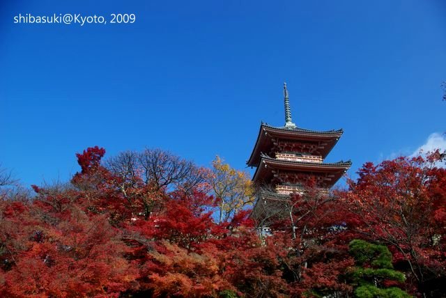20091126_Kyoto-78_清水寺_1.JPG
