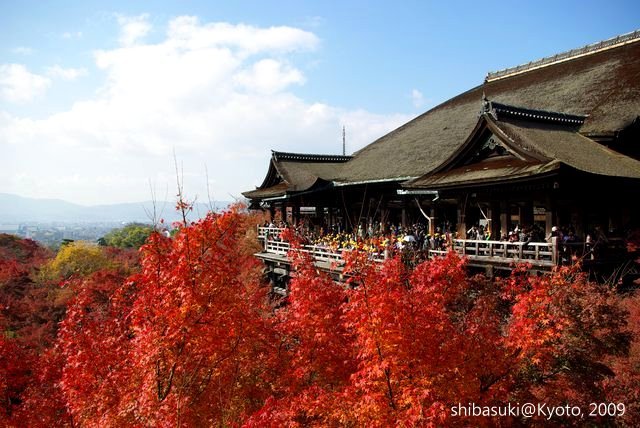 20091126_Kyoto-188_清水寺_1.JPG