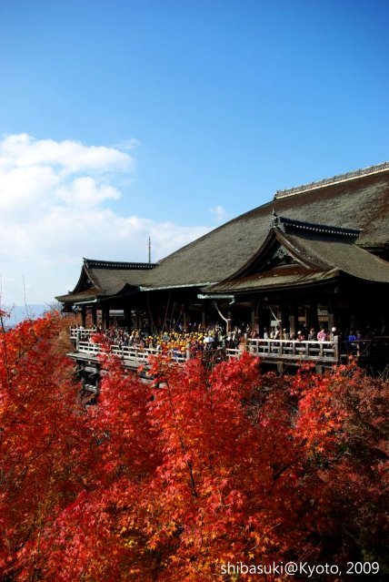 20091126_Kyoto-184_清水寺_1.JPG