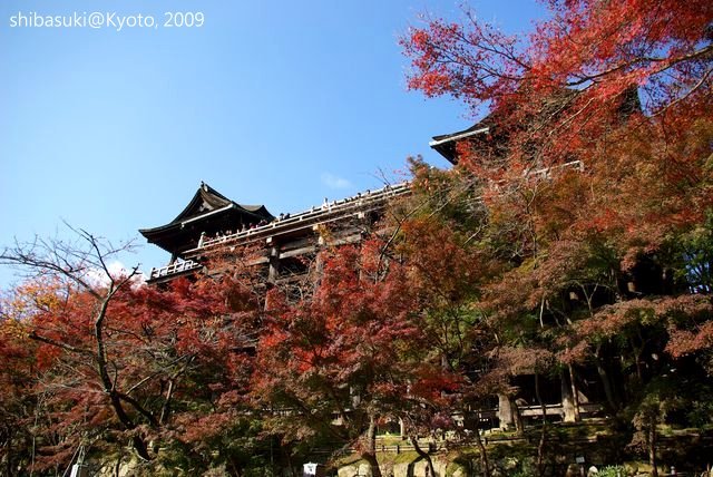 20091126_Kyoto-210_清水寺_1.JPG