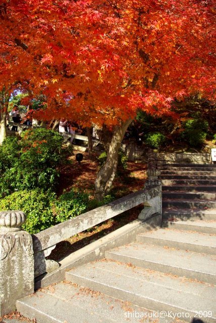20091126_Kyoto-244_清水寺_1.JPG