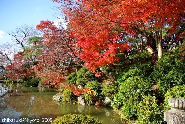 20091126_Kyoto-242_清水寺_1.JPG