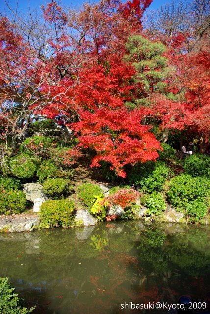 20091126_Kyoto-248_清水寺_1.JPG