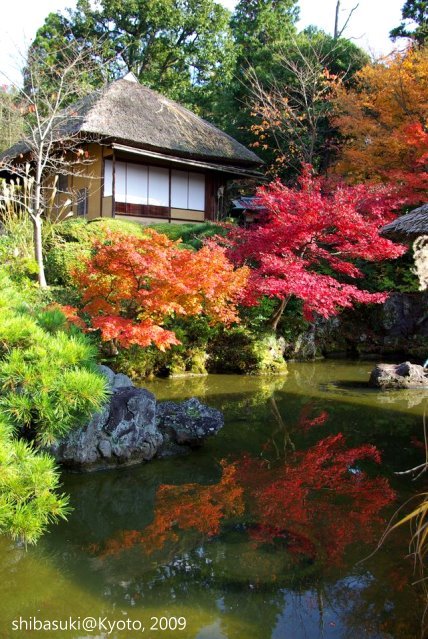 20091126_Kyoto-305_清水寺青龍苑_1.JPG