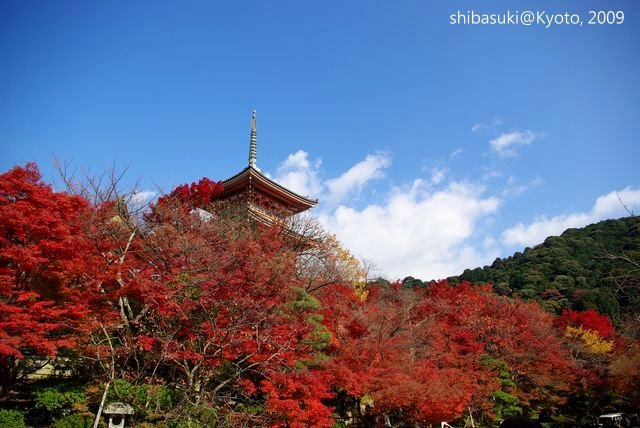 20091126_Kyoto-252_清水寺_1.JPG
