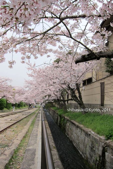 20110411_Kyoto-44_就上鐵道_1.JPG