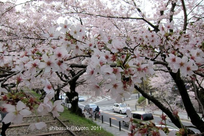 20110411_Kyoto-48_就上鐵道_1.JPG