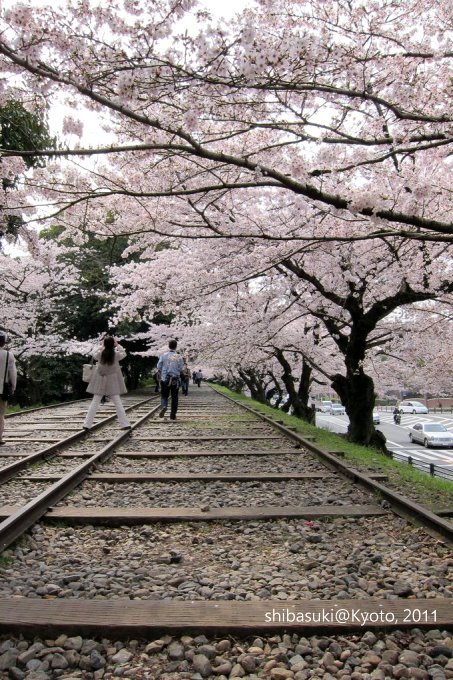 20110411_Kyoto-50_就上鐵道_1.JPG