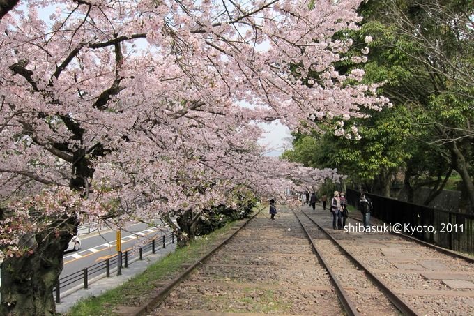 20110411_Kyoto-53_就上鐵道_1.JPG