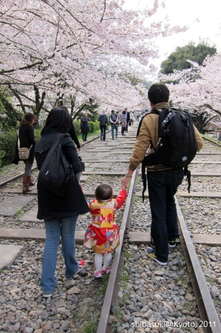 20110411_Kyoto-54_就上鐵道_1.JPG
