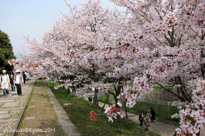 20110411_Kyoto-59_就上鐵道_1.JPG
