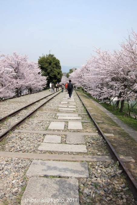 20110411_Kyoto-61_就上鐵道_1.JPG