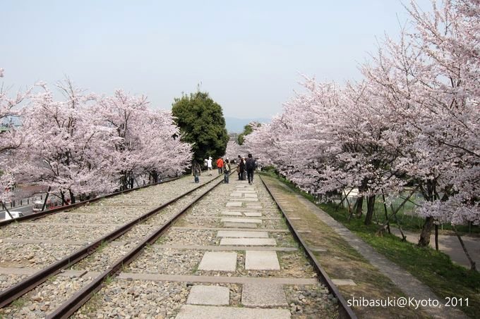 20110411_Kyoto-62_就上鐵道_1.JPG