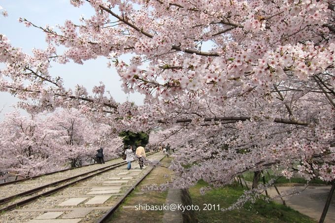 20110411_Kyoto-65_就上鐵道_1.JPG