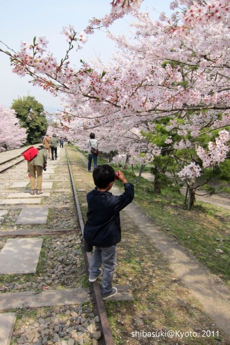 20110411_Kyoto-66_就上鐵道_1.JPG