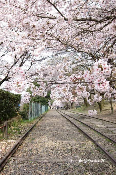 20110411_Kyoto-92_就上鐵道_1.JPG