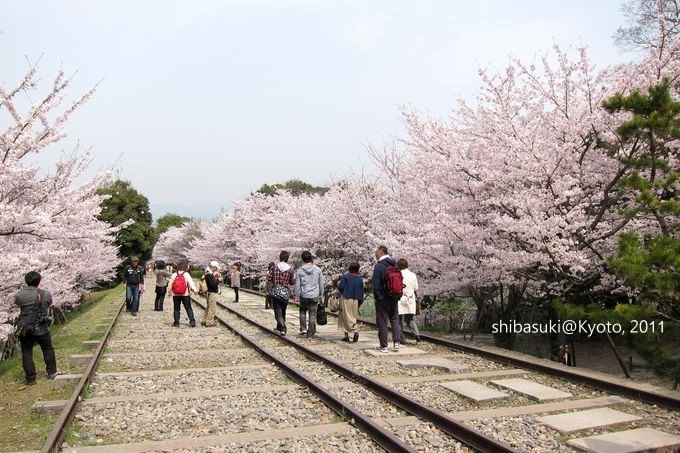 20110411_Kyoto-93_就上鐵道_1.JPG