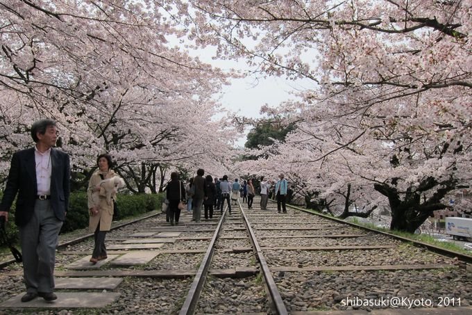 20110411_Kyoto-102_就上鐵道_1.JPG
