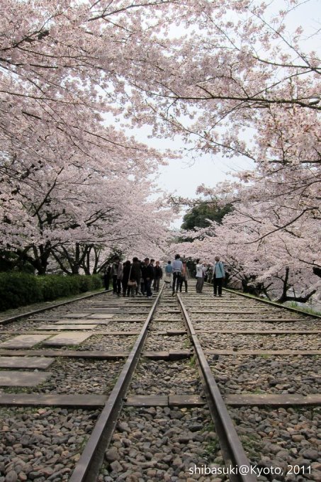 20110411_Kyoto-103_就上鐵道_1.JPG