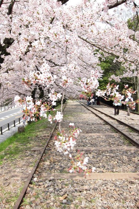 20110411_Kyoto-107_就上鐵道_1.JPG