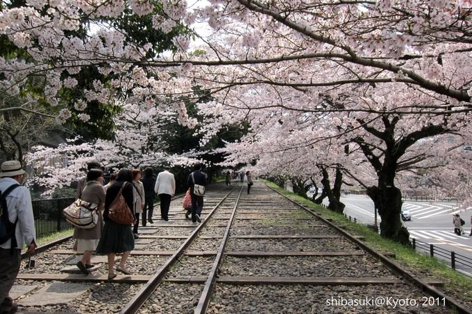 20110411_Kyoto-110_就上鐵道_1.JPG