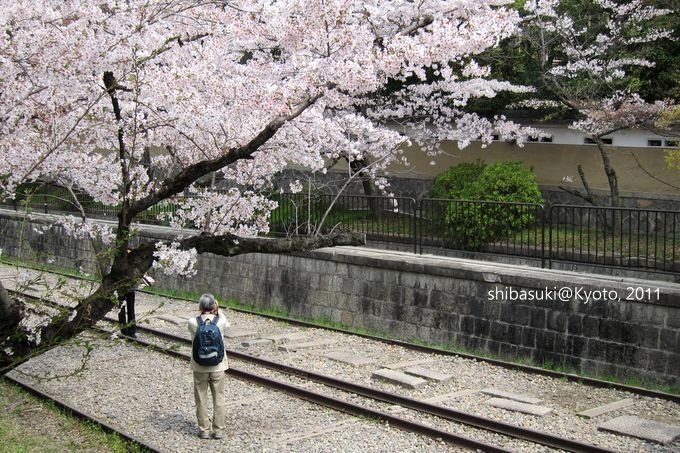 20110411_Kyoto-114_就上鐵道_1.JPG