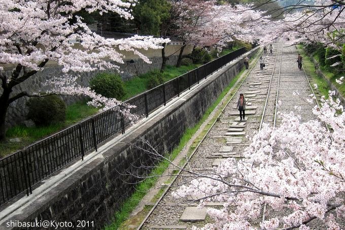 20110411_Kyoto-116_就上鐵道_1.JPG