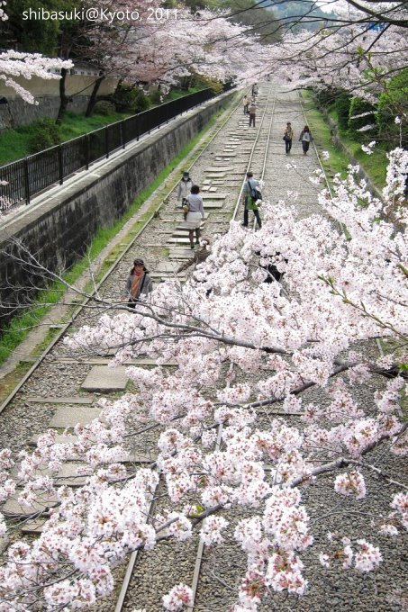 20110411_Kyoto-119_就上鐵道_1.JPG