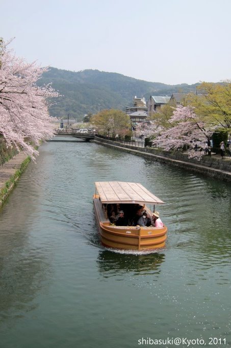 20110411_Kyoto-236_岡崎疏水道_1.JPG