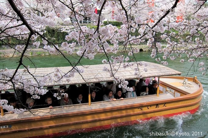 20110411_Kyoto-243_岡崎疏水道_1.JPG