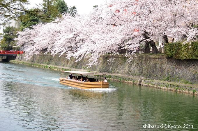 20110411_Kyoto-176_岡崎疏水道_1.JPG