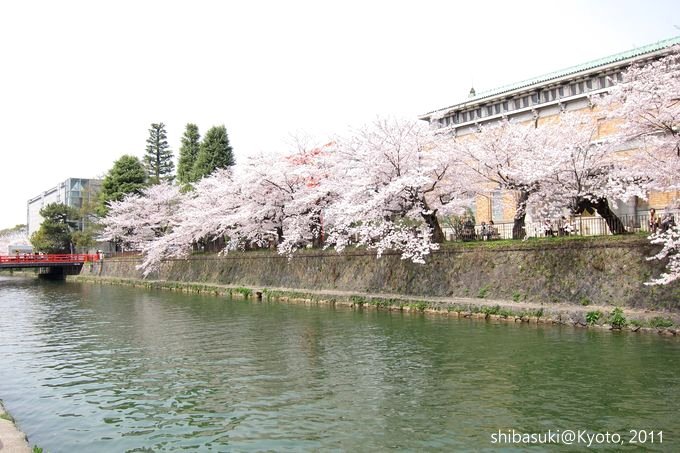 20110411_Kyoto-180_岡崎疏水道_1.JPG