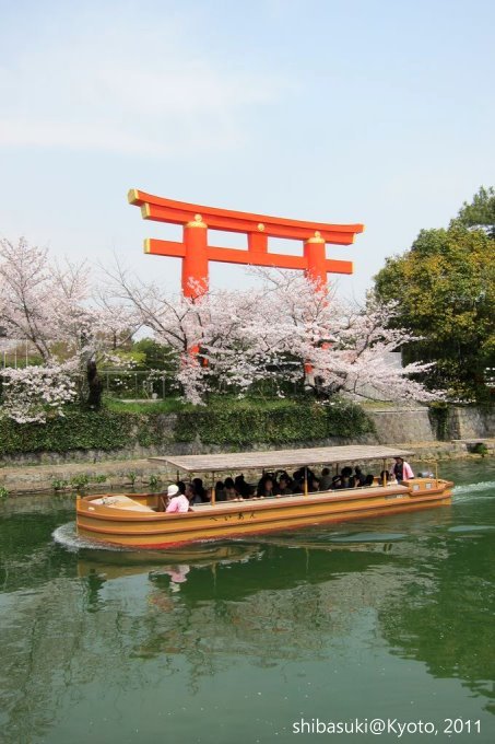 20110411_Kyoto-199_岡崎疏水道_1.JPG