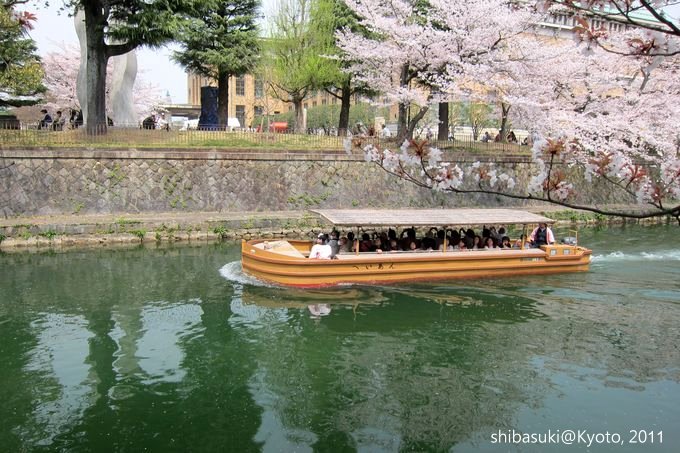 20110411_Kyoto-210_岡崎疏水道_1.JPG