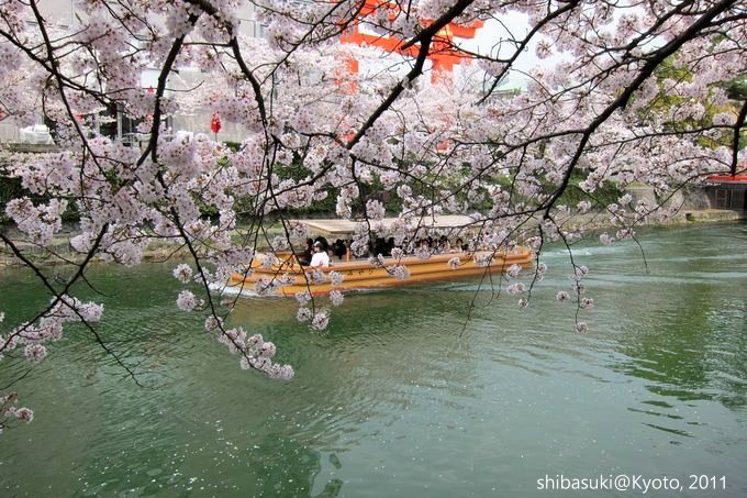 20110411_Kyoto-242_岡崎疏水道_1.JPG