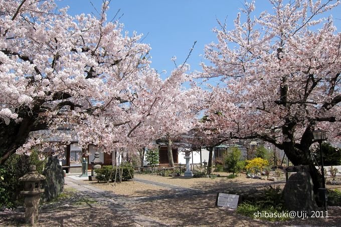 20110412_Kyoto-83_宇治 橋寺放生院_1.JPG