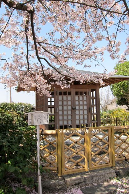 20110412_Kyoto-85_宇治 橋寺放生院_1.JPG