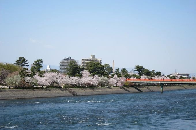 20110412_Kyoto-124_宇治 朝霧橋_1.JPG