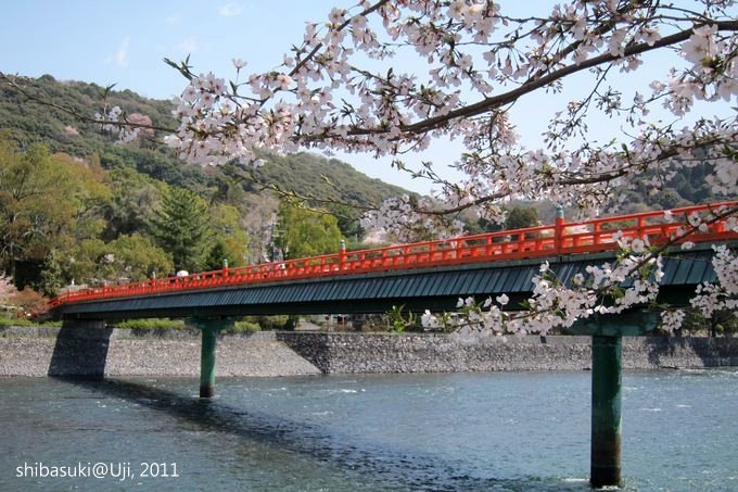 20110412_Kyoto-133_宇治 朝霧橋_1.JPG