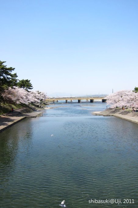 20110412_Kyoto-192_宇治 宇治橋_1.JPG