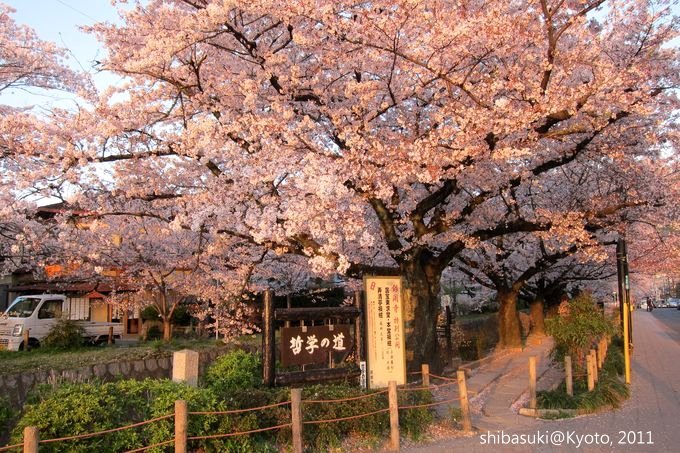 20110412_Kyoto-365_哲學之道_1.JPG