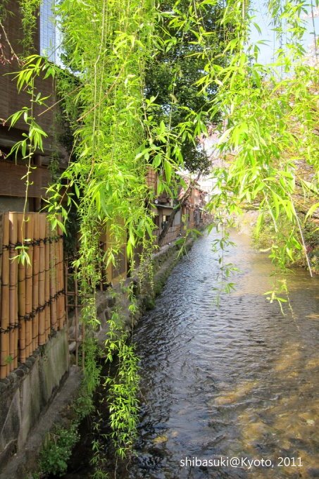 20110413_Kyoto-27_白川巽橋_1.JPG